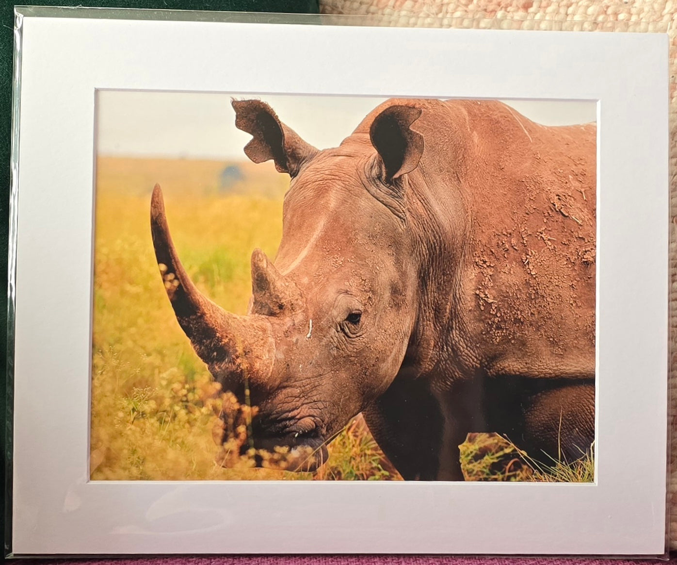 Luxury 10x8 Rhino print, in a 12x10" mount. Choose either framed or mounted, my own original photography