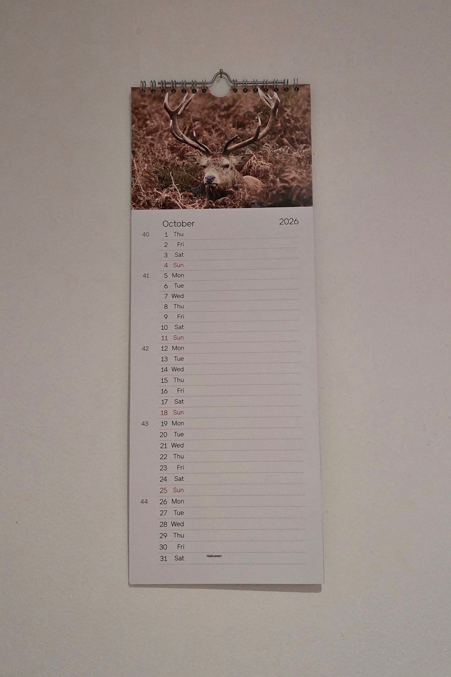 Luxury British Wildlife 2026 kitchen calendar, my own original photography. Kingfisher, puffin, Robin, otter, Badger. Quality printed 250gsm paper.