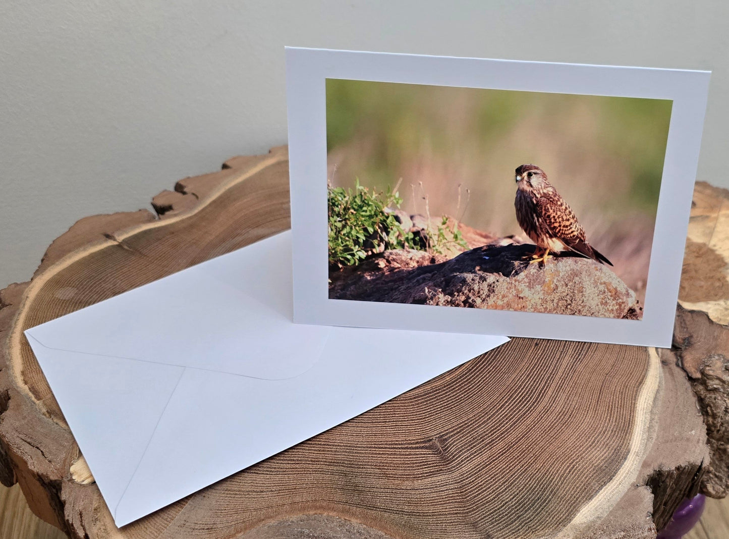 Choose your own x6 Handmade wildlife photography luxury blank greeting cards | photo prints | British wildlife | Robin, Puffin, Kingfisher