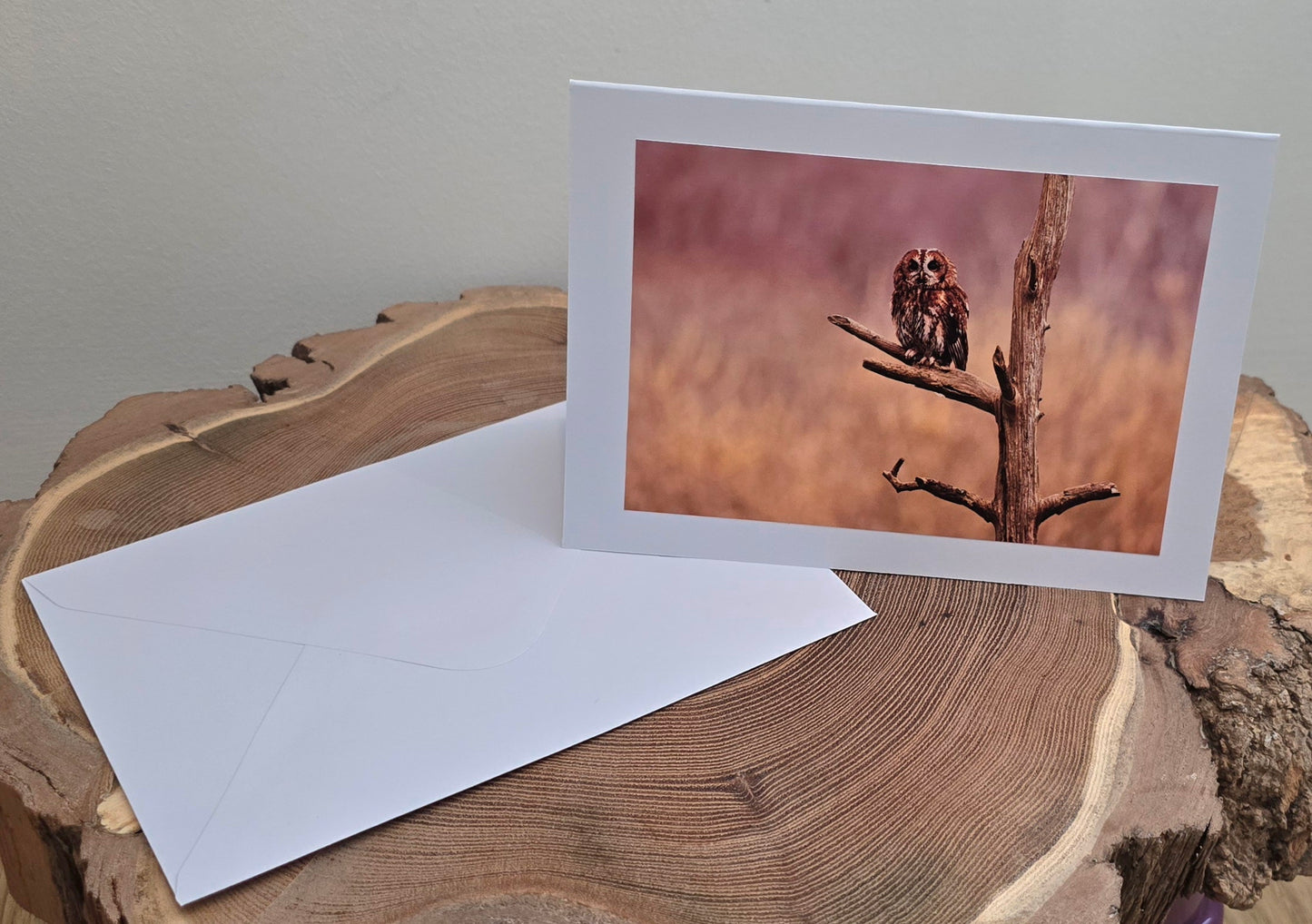 Choose your own x6 Handmade wildlife photography luxury blank greeting cards | photo prints | British wildlife | Robin, Puffin, Kingfisher