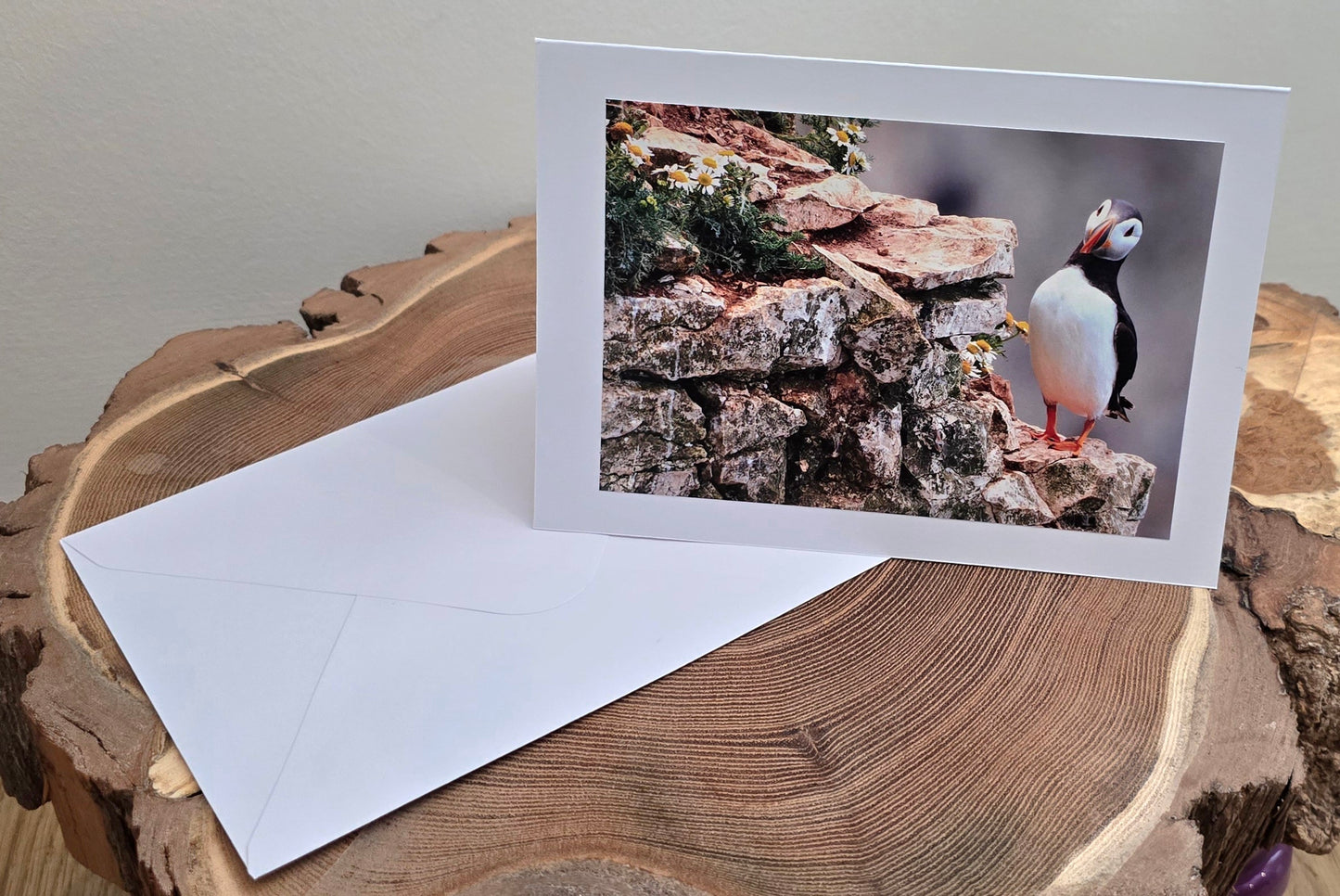 Choose your own x6 Handmade wildlife photography luxury blank greeting cards | photo prints | British wildlife | Robin, Puffin, Kingfisher