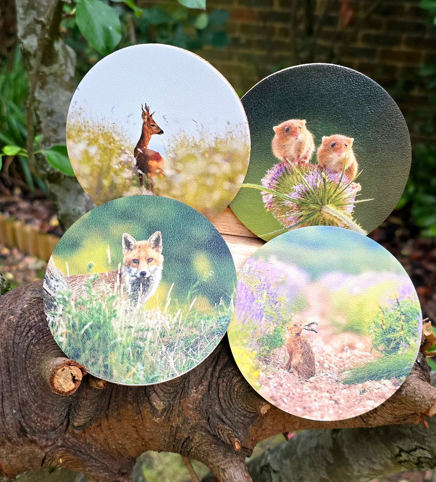 Luxury digital printed set of 4 Wildlife drink Coasters beer matts - mammals: Deer, Hare, Fox, Mice | photo prints | British wildlife | Unique original photography | my own photos