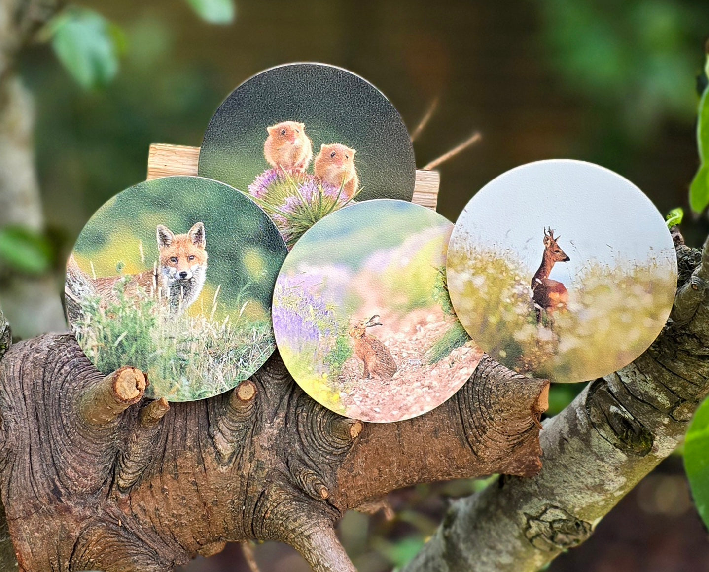 Luxury digital printed set of 4 Wildlife drink Coasters beer matts - mammals: Deer, Hare, Fox, Mice | photo prints | British wildlife | Unique original photography | my own photos