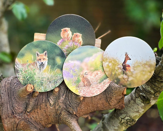 Luxury digital printed set of 4 Wildlife drink Coasters beer matts - mammals: Deer, Hare, Fox, Mice | photo prints | British wildlife | Unique original photography | my own photos