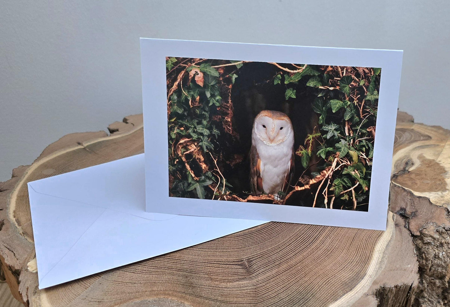 Choose your own Handmade wildlife photography luxury blank greeting card | 19+ photo prints | British wildlife | Robin, Puffin, Kingfisher, Owl, Otter
