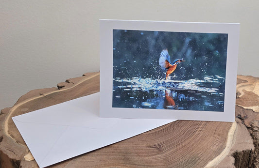 Choose your own Handmade wildlife photography luxury blank greeting card | 19+ photo prints | British wildlife | Robin, Puffin, Kingfisher, Owl, Otter