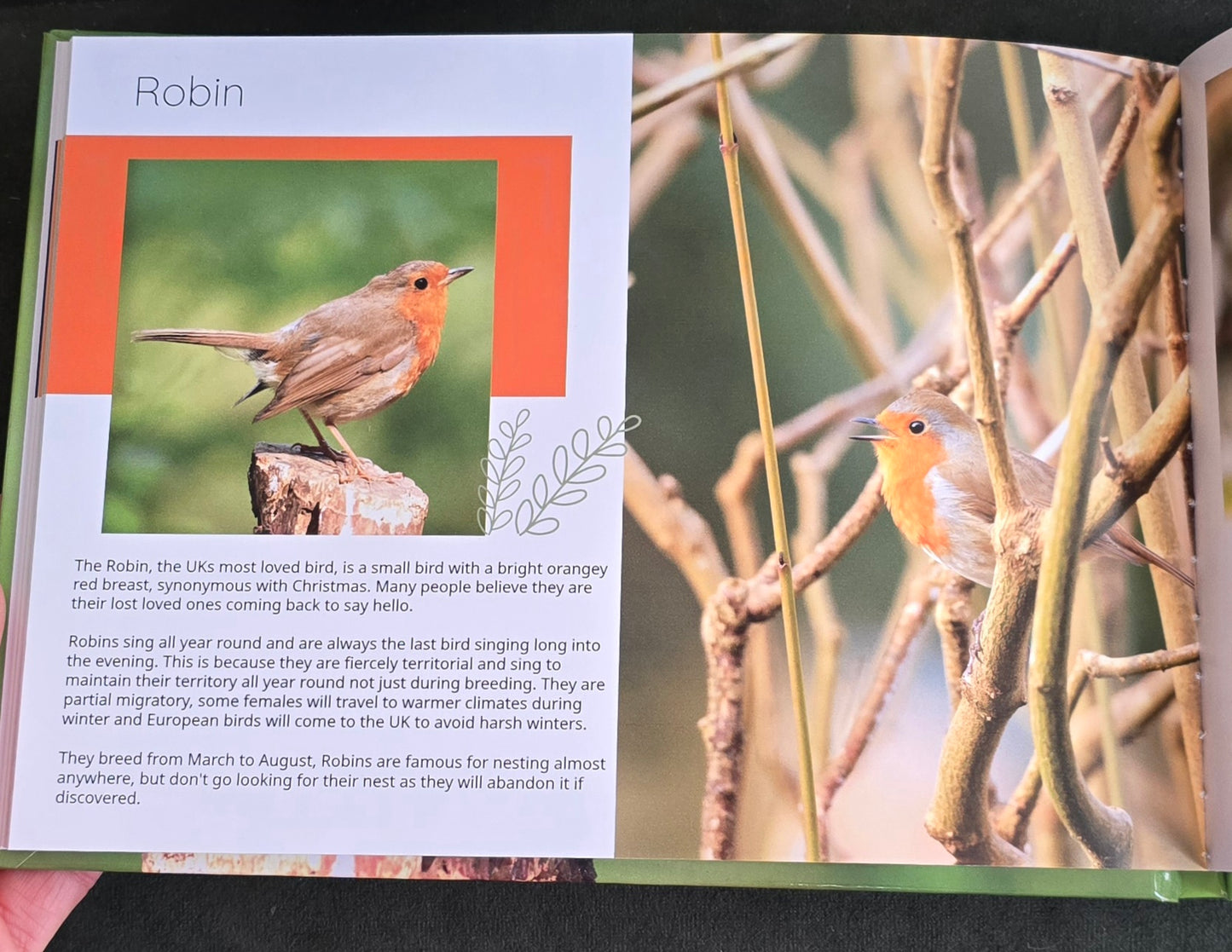 British Garden Birds informative photobook. high quality A5 wildlife photography book.