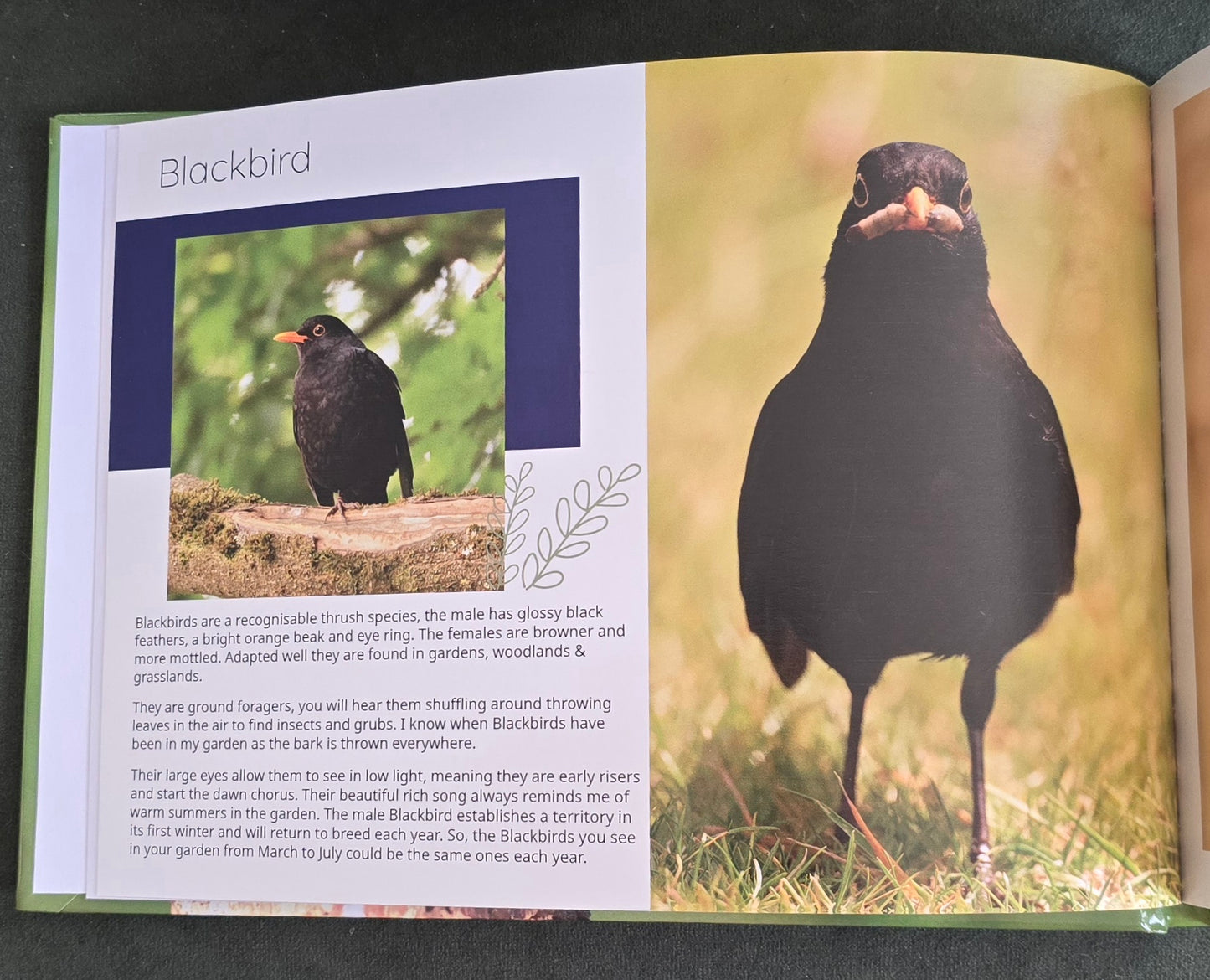 British Garden Birds informative photobook. high quality A5 wildlife photography book.
