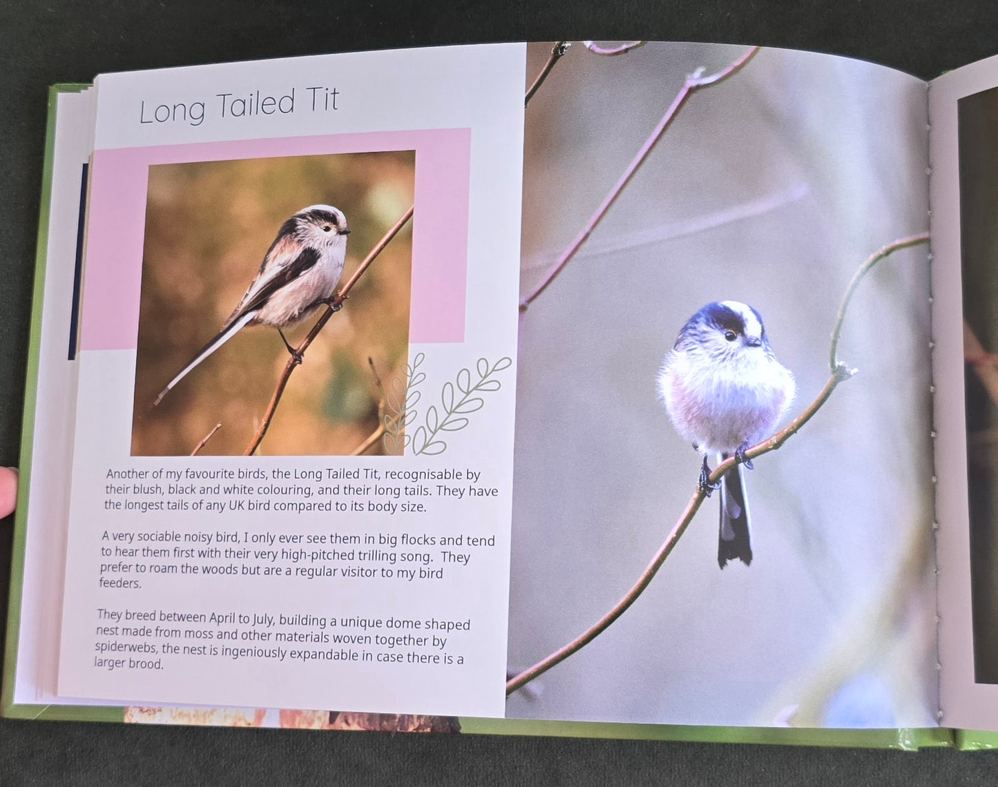 British Garden Birds informative photobook. high quality A5 wildlife photography book.