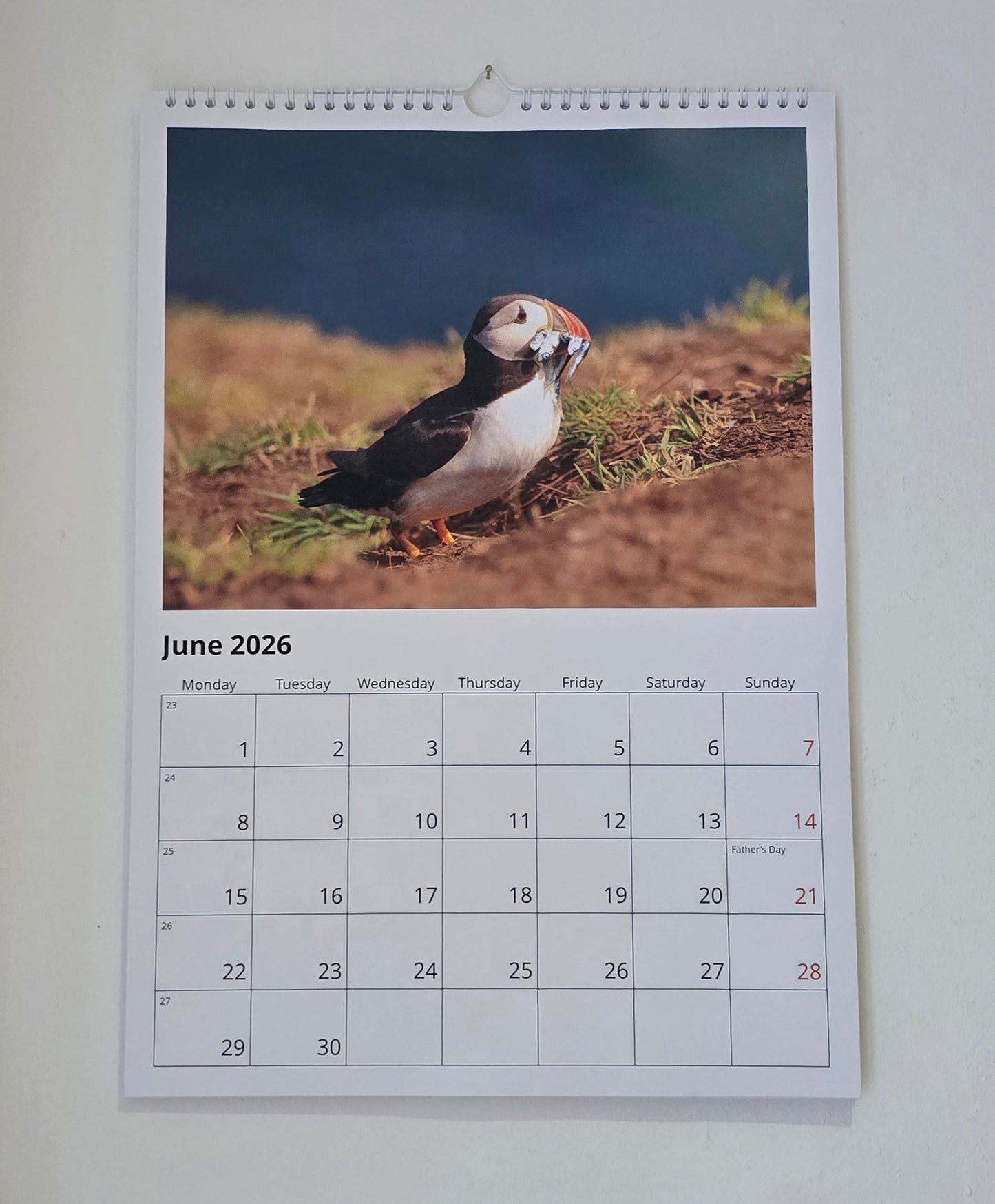 Luxury A3 British Wildlife 2026 wall calendar, my own original photography. Kingfisher, puffin, Robin, otter, Badger. Quality printed 250gsm paper.