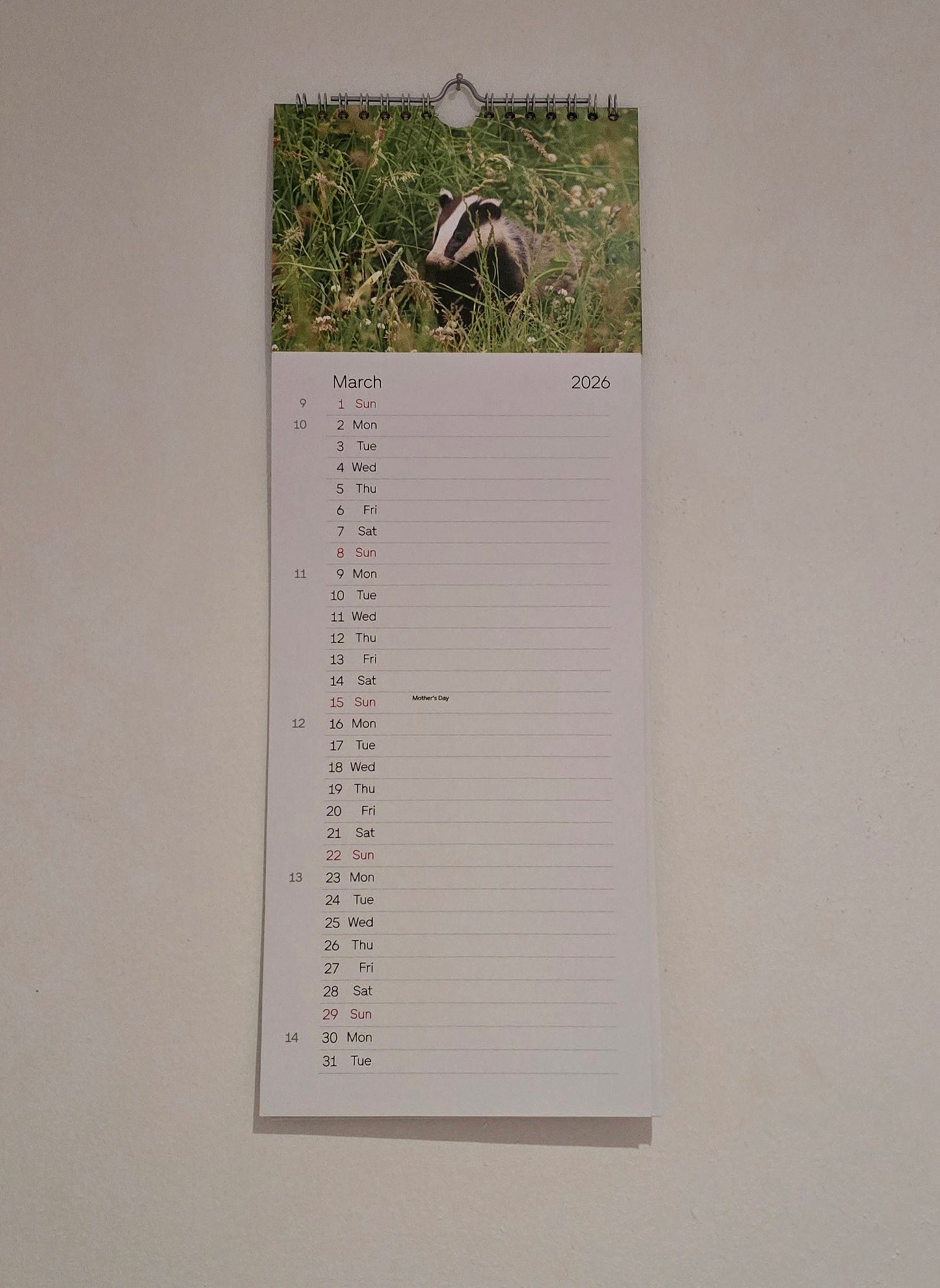 Luxury British Wildlife 2026 kitchen calendar, my own original photography. Kingfisher, puffin, Robin, otter, Badger. Quality printed 250gsm paper.