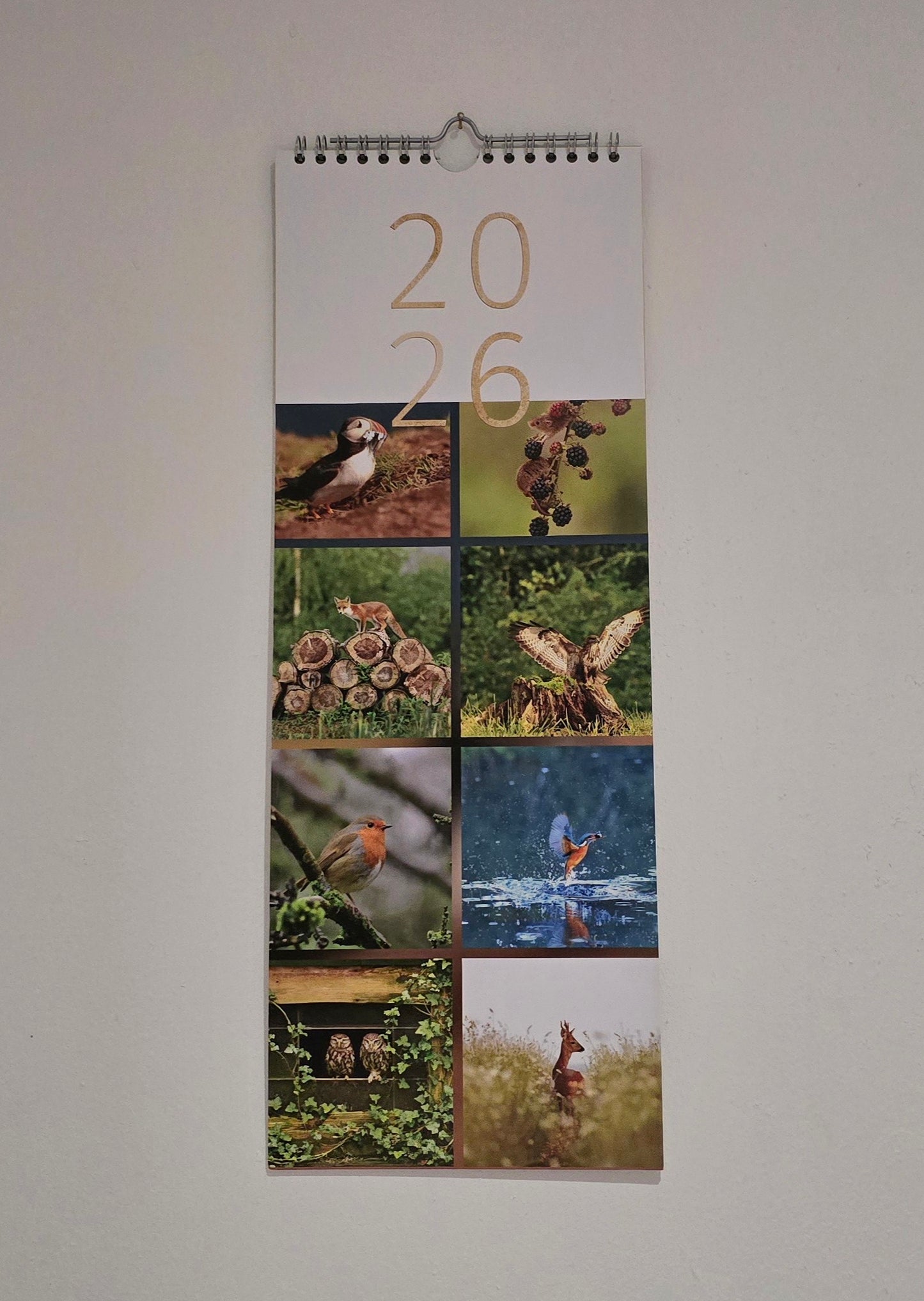 Luxury British Wildlife 2026 kitchen calendar, my own original photography. Kingfisher, puffin, Robin, otter, Badger. Quality printed 250gsm paper.