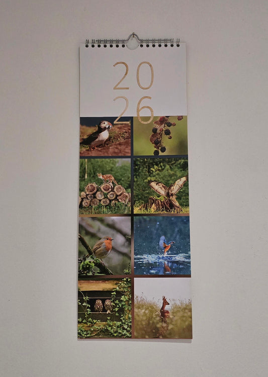 Luxury British Wildlife 2026 kitchen calendar, my own original photography. Kingfisher, puffin, Robin, otter, Badger. Quality printed 250gsm paper.