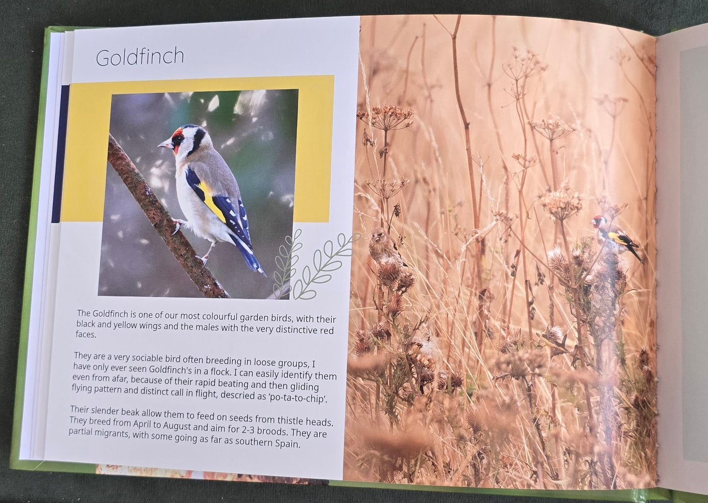 British Garden Birds informative photobook. high quality A5 wildlife photography book.